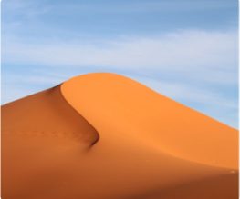 d03-Img-Dunes.jpg